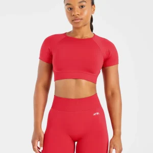 Adapt Seamless Crop Top - Salsa Rot